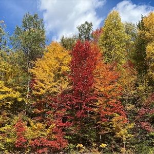 Meet your Posher, Kourtney